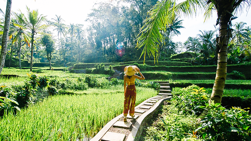 Bali Now Officially Offers 6-Month Digital Nomad Visas